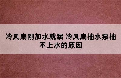 冷风扇刚加水就漏 冷风扇抽水泵抽不上水的原因